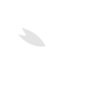Sakura Icon